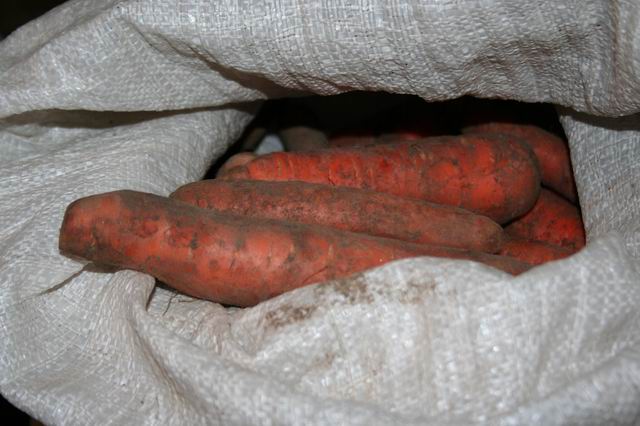 Хранение моркови в глазури